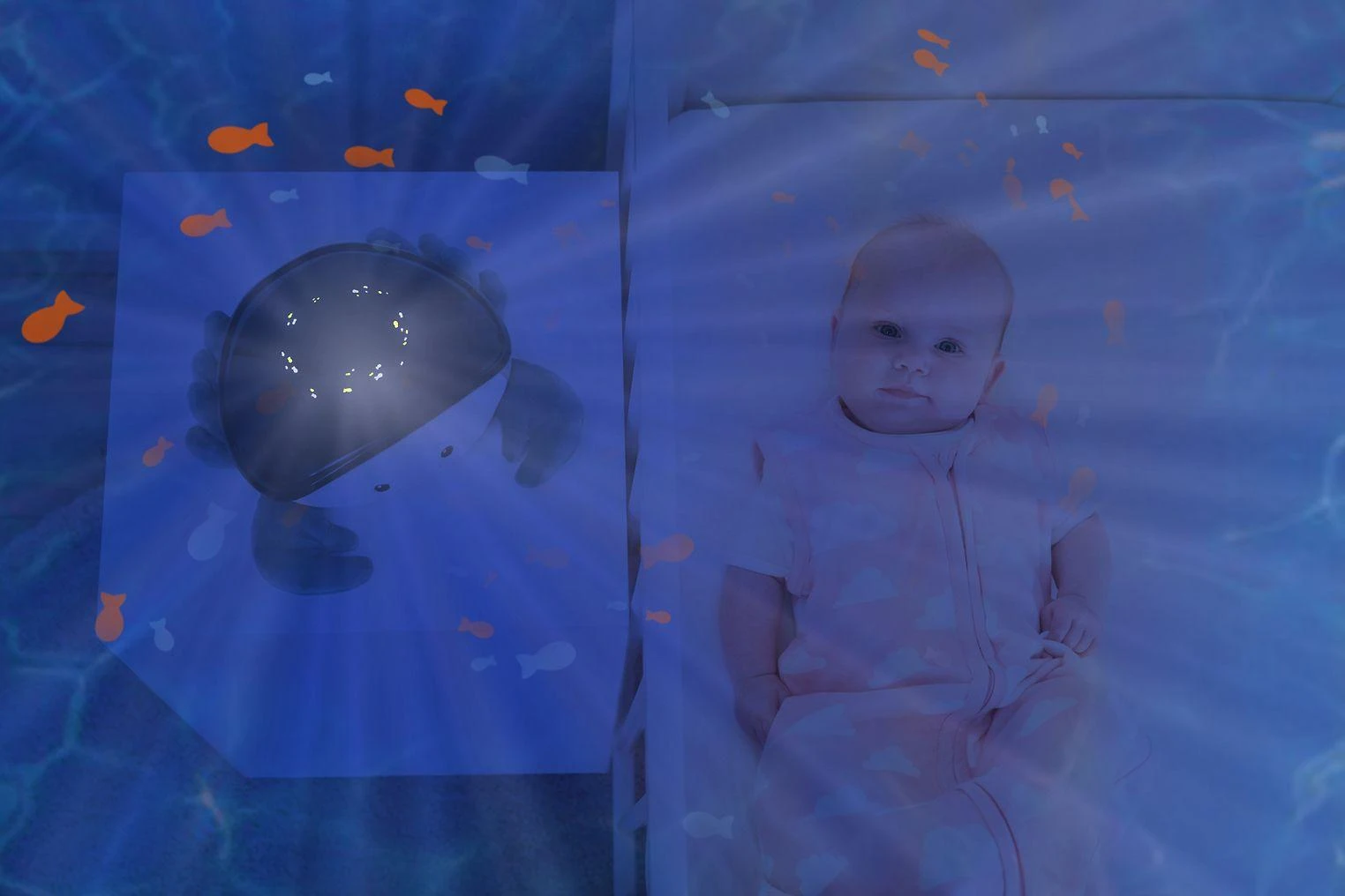 Zazu Cody projektorius naktinė lemputė, krabas, vandenynas