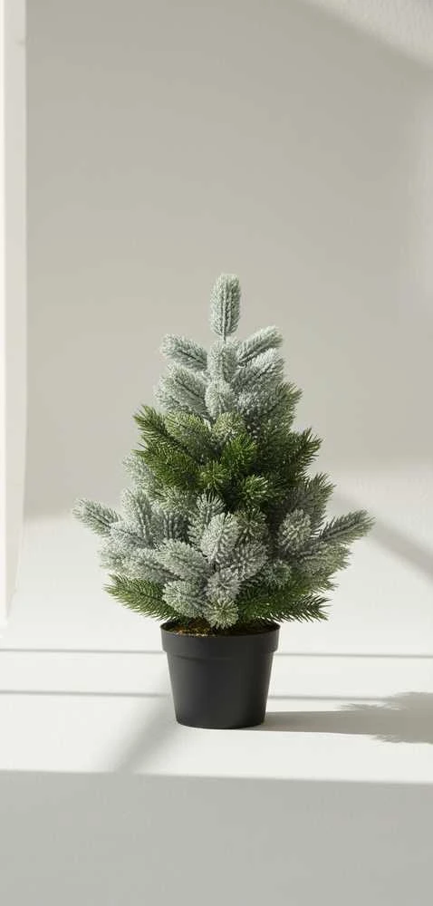 Mondex Kalėdinė eglutė juodame vazone 22 cm