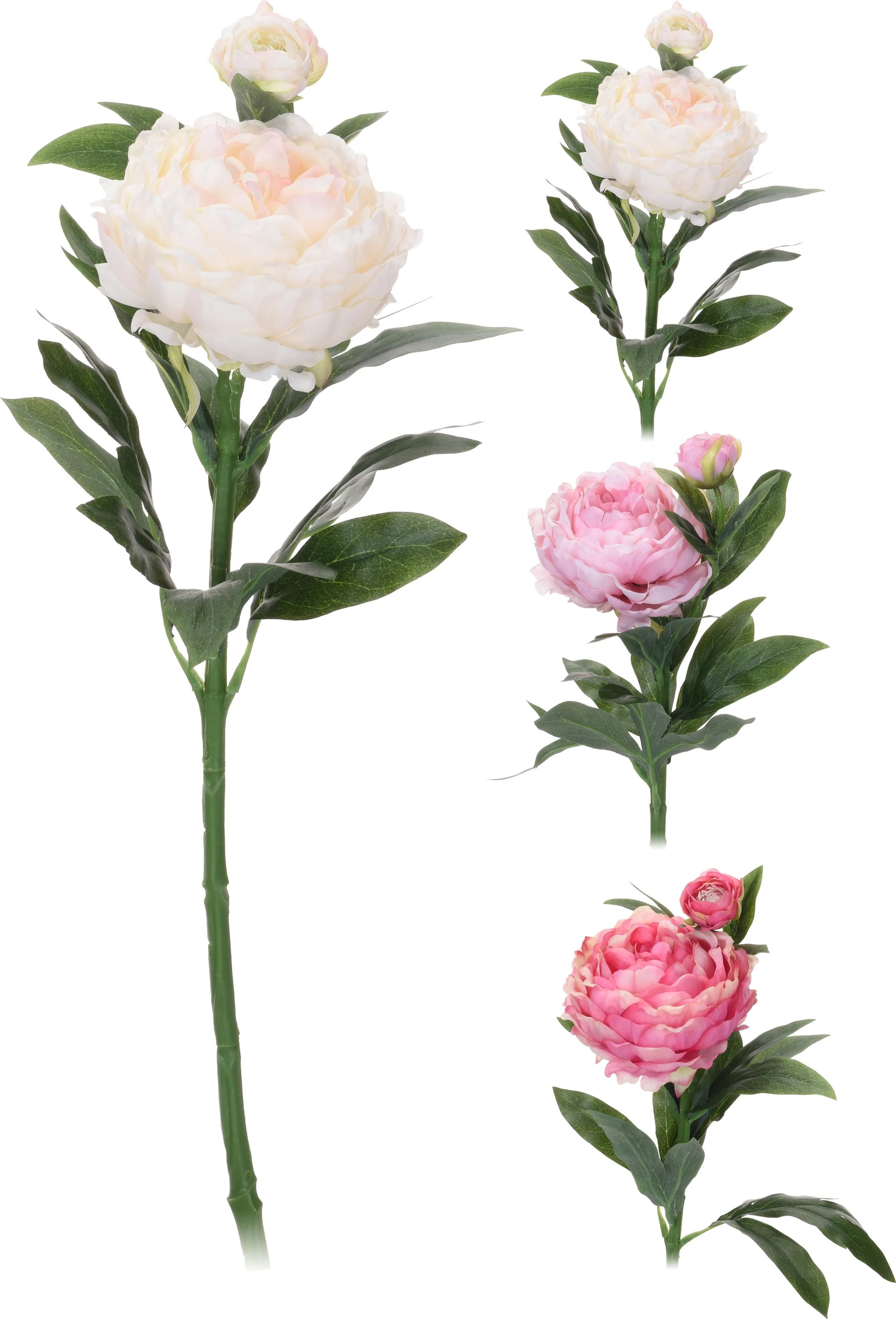 None Dirbtinė gėlė PEONY, 3 spalvos, 17 cm