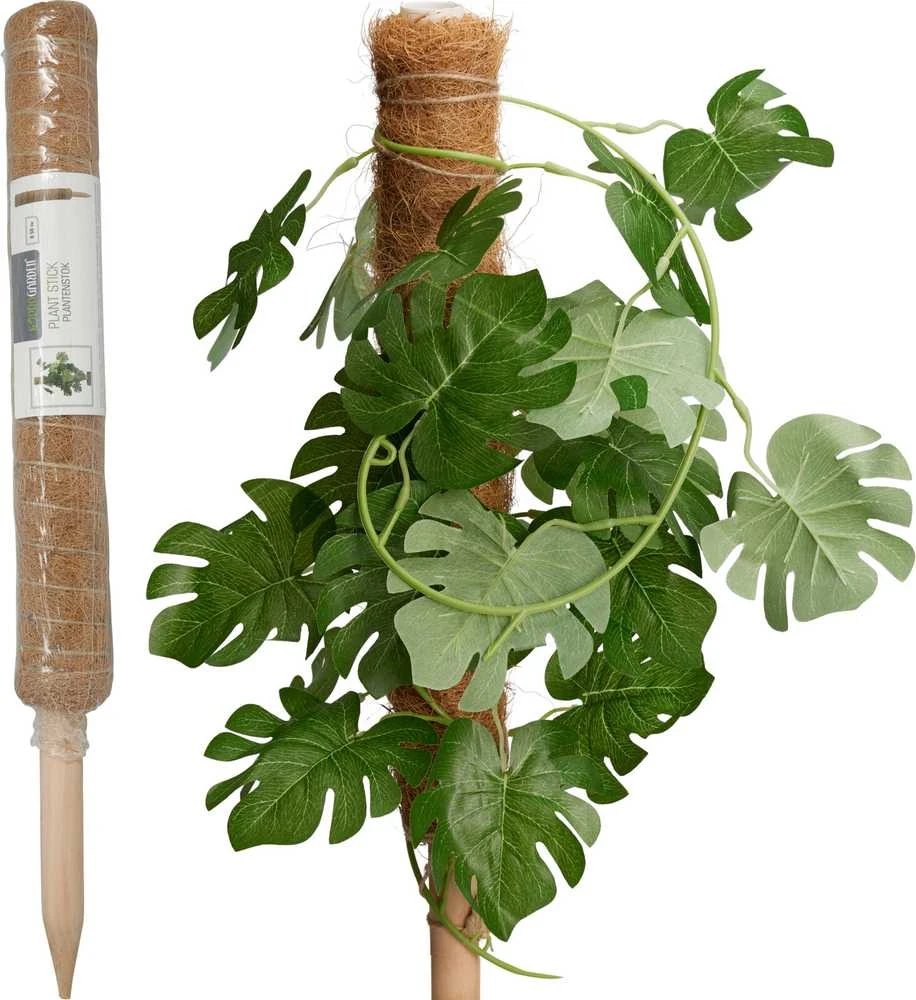 ProGarden Kokosinė augalų atrama 50 cm