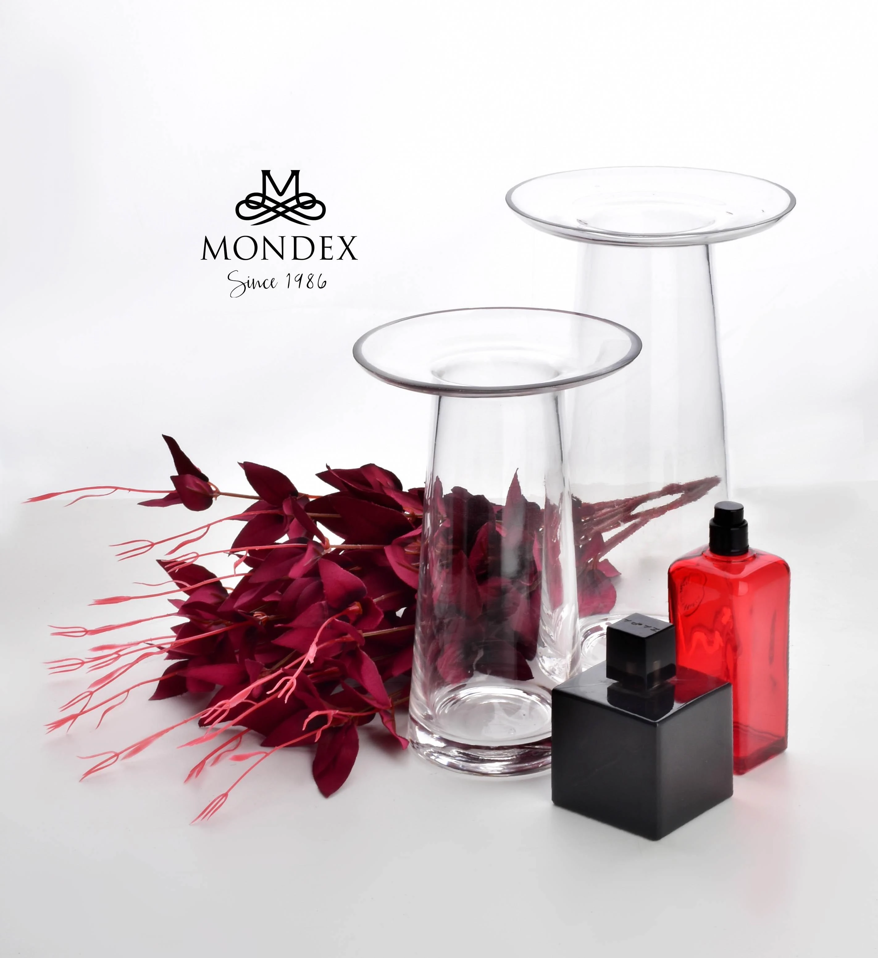 Mondeks Mondex SERENITE vaza su apvadu 13,5x13,5x20 cm permatomas