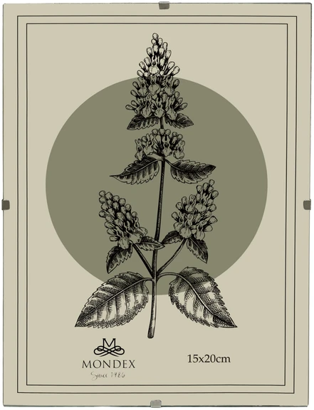 Nuotraukų rėmelis Affek Design ADI rėmelis 15x20 cm stiklinis rėmelis su spaustuku