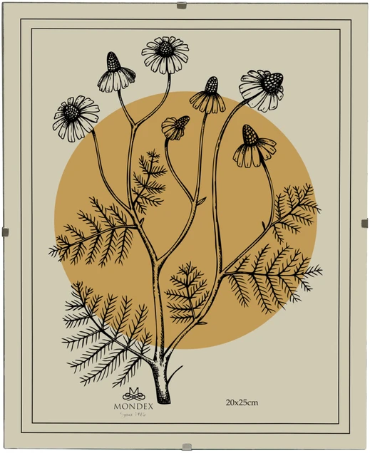 Nuotraukų rėmelis Affek Design ADI rėmelis 20x25 cm stiklinis spaustukas