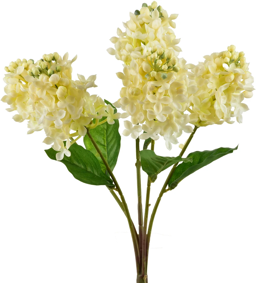 Mondex Since 1986 VIRIDIS alyvinė puokštė 40 cm, gumuota