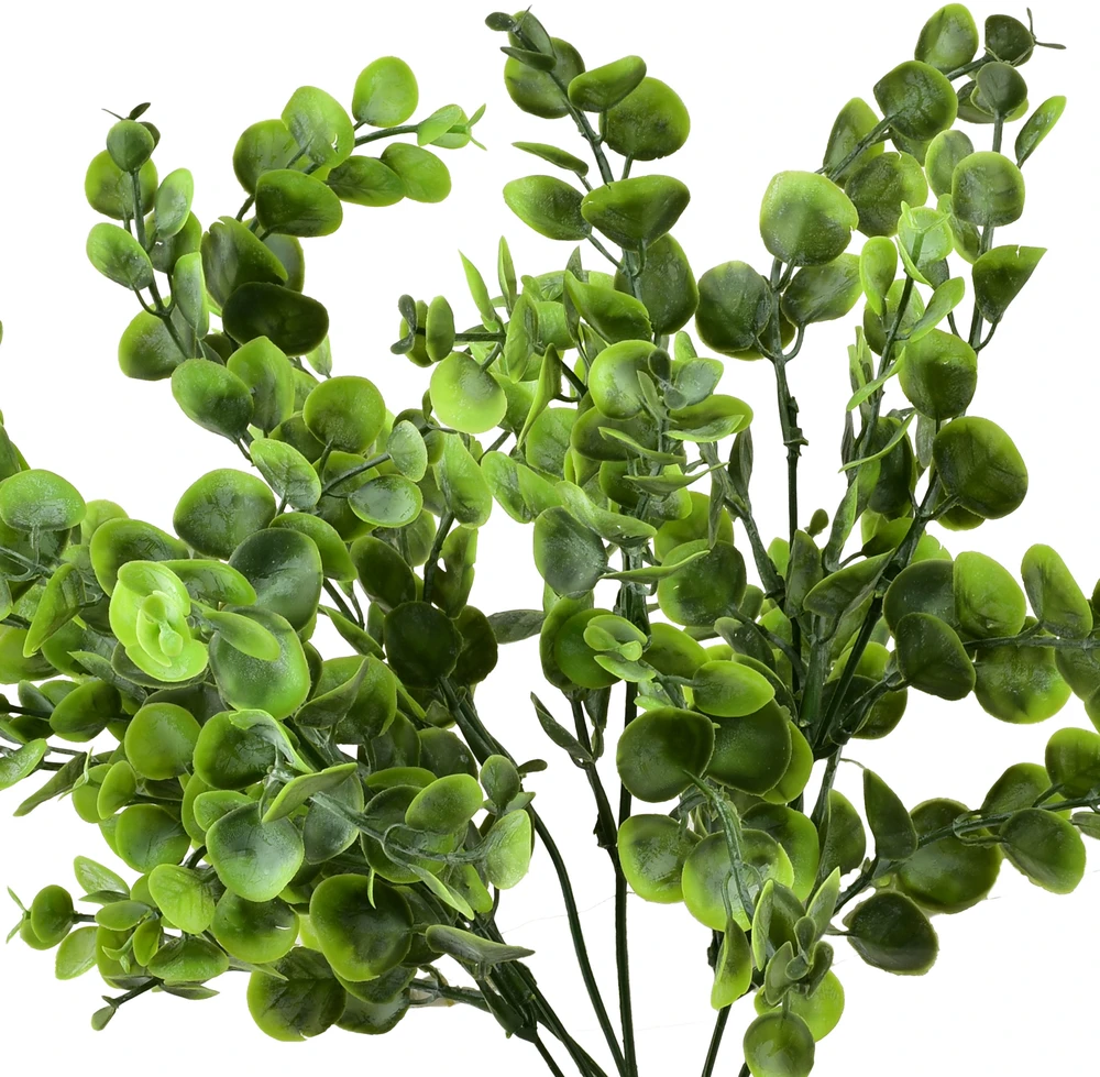 Mondex Since 1986 VIRIDIS Buksmedžio puokštė 37 cm