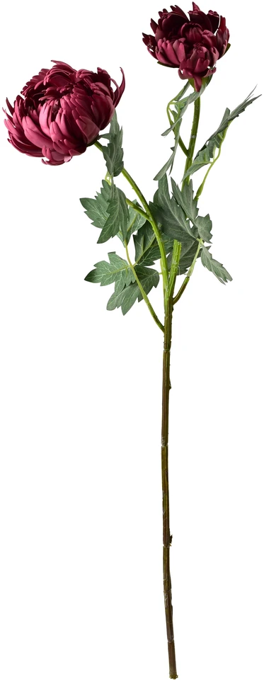 Mondex Since 1986 VIRIDIS chrizantema (x2) šakelė 69cm