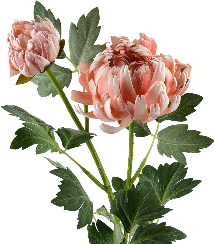 Mondex Since 1986 VIRIDIS chrizantema (x2) šakelė 69cm