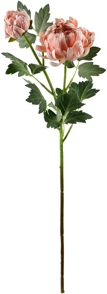 Mondex Since 1986 VIRIDIS chrizantema (x2) šakelė 69cm