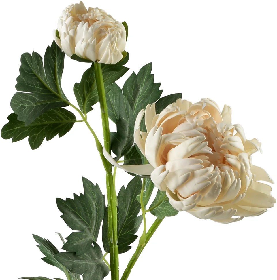 Mondex Since 1986 VIRIDIS chrizantema (x2) šakelė 69 cm