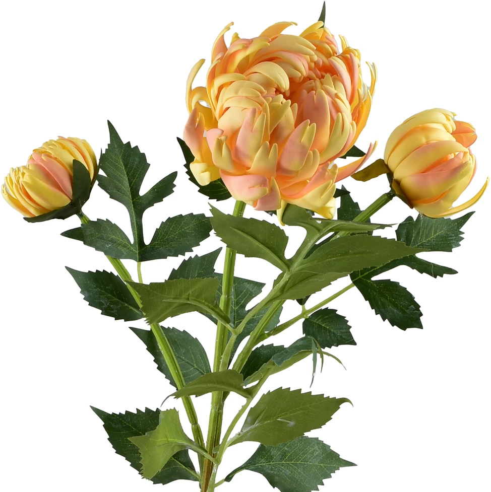 Mondex Since 1986 VIRIDIS chrizantema (x3) šakelė 70cm