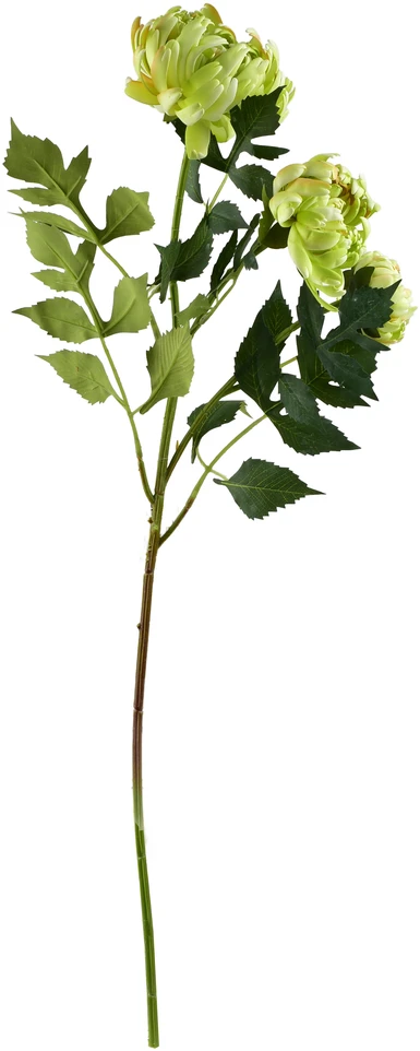 Mondex Since 1986 VIRIDIS chrizantema (x3) šakelė 70cm