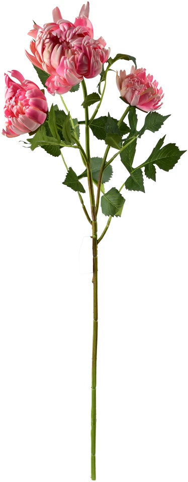Mondex Since 1986 VIRIDIS chrizantema (x3) šakelė 70cm