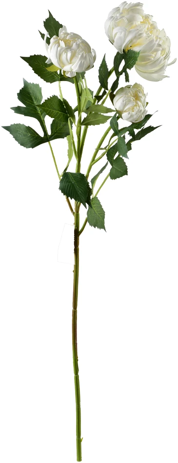 Mondex Since 1986 VIRIDIS chrizantema (x3) šakelė 70cm