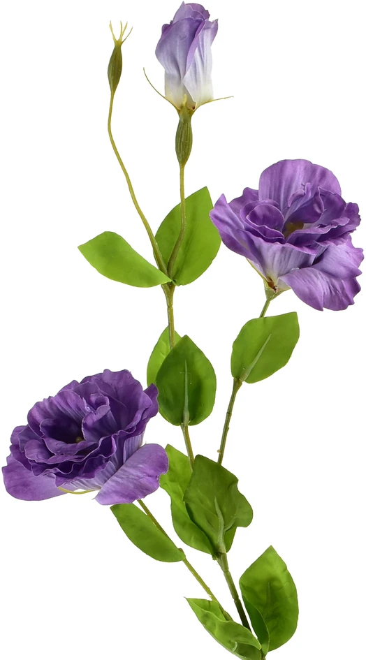Mondex Since 1986 VIRIDIS Dirbtinė gėlė Eustoma 70cm gumuota