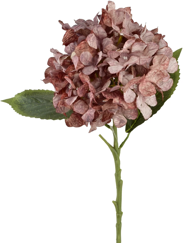Mondex Since 1986 VIRIDIS dirbtinė gėlė hortenzija 53cm