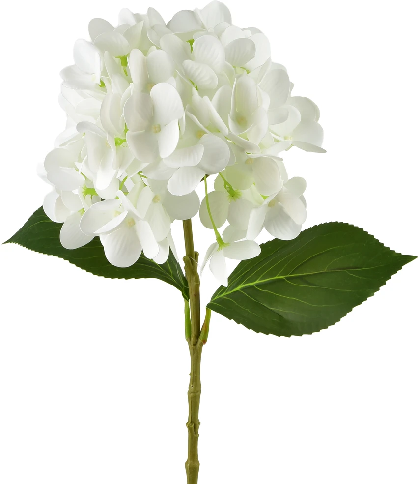 Mondex Since 1986 VIRIDIS Dirbtinė gėlė Hortenzija 60 cm balta
