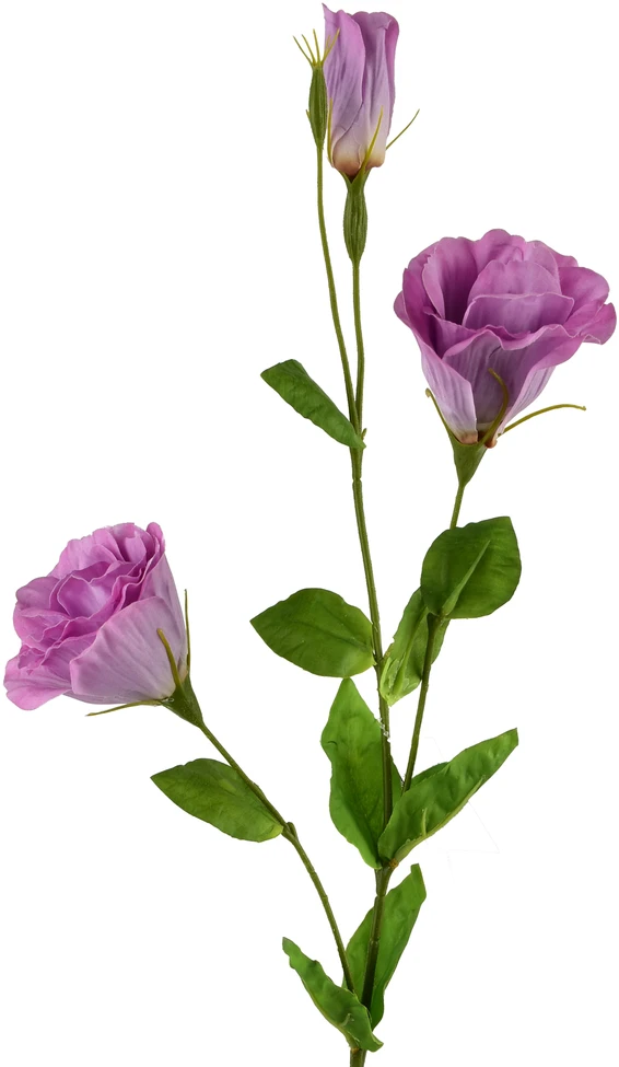 Mondex Since 1986 VIRIDIS Dirbtinė gėlė Eustoma 70cm gumuota