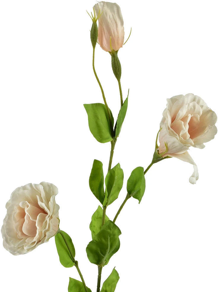Mondex Since 1986 VIRIDIS Dirbtinė gėlė Eustoma 70cm gumuota