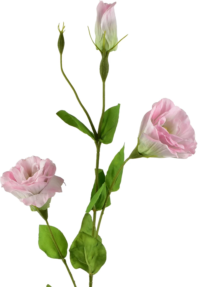 Mondex Since 1986 VIRIDIS Dirbtinė gėlė Eustoma 70cm gumuota