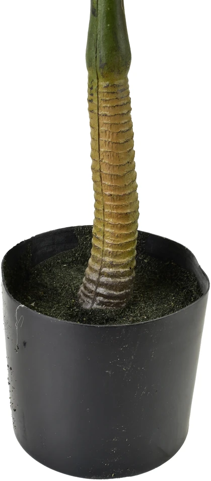 Mondex Since 1986 VIRIDIS Dirbtinė gėlė palmė žema 13x12x57cm vazone