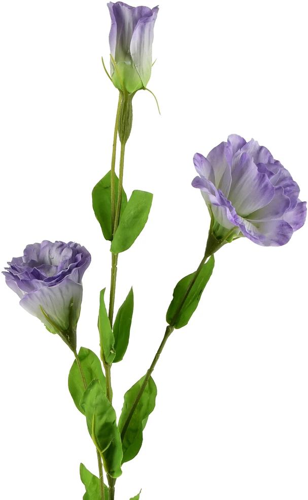Mondex Since 1986 VIRIDIS Dirbtinė gėlė Eustoma 70cm gumuota