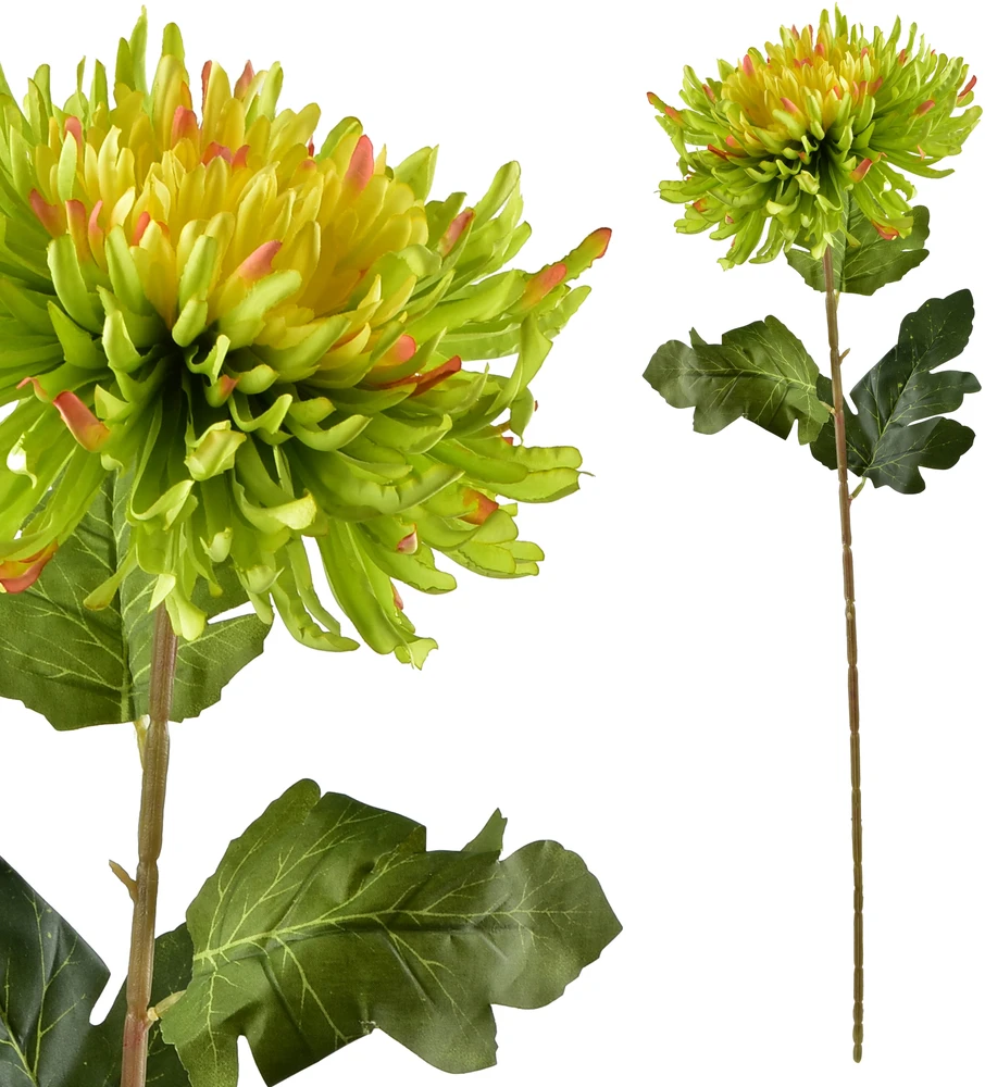 Mondex Since 1986 VIRIDIS dirbtinė gėlė chrizantema 75 cm žalia