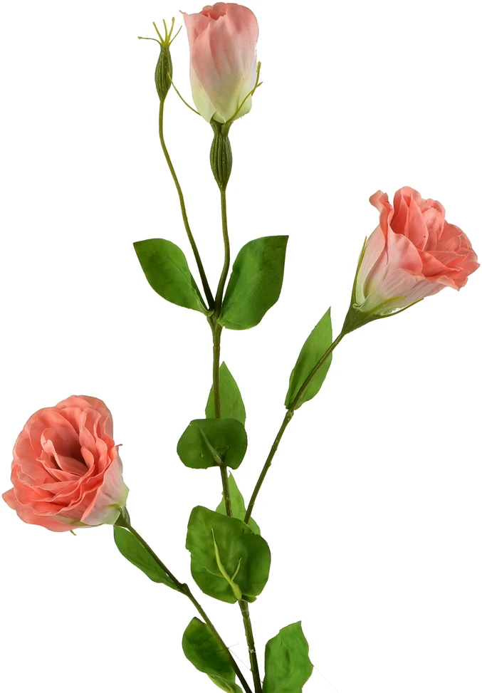 Mondex Since 1986 VIRIDIS Dirbtinė gėlė Eustoma 70cm gumuota