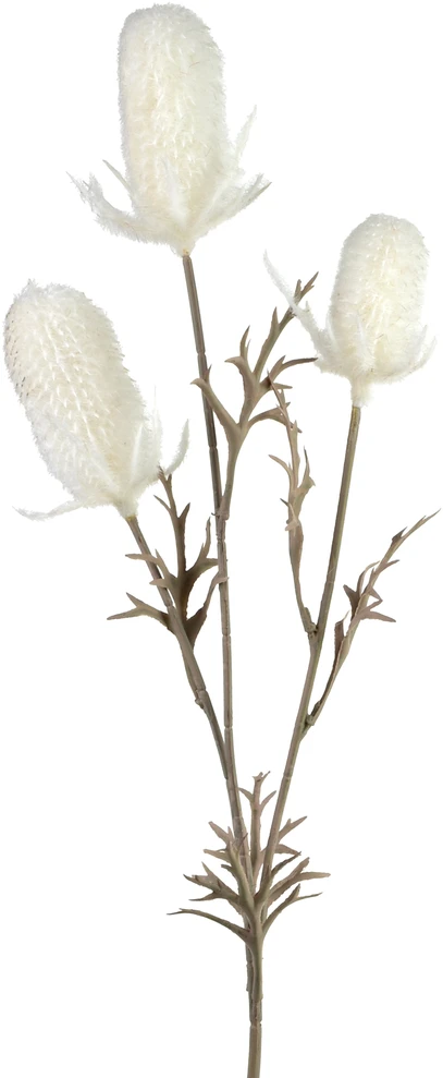 Mondex Since 1986 VIRIDIS Dirbtinė gėlė, usnio šakelė, 70 cm, AW25