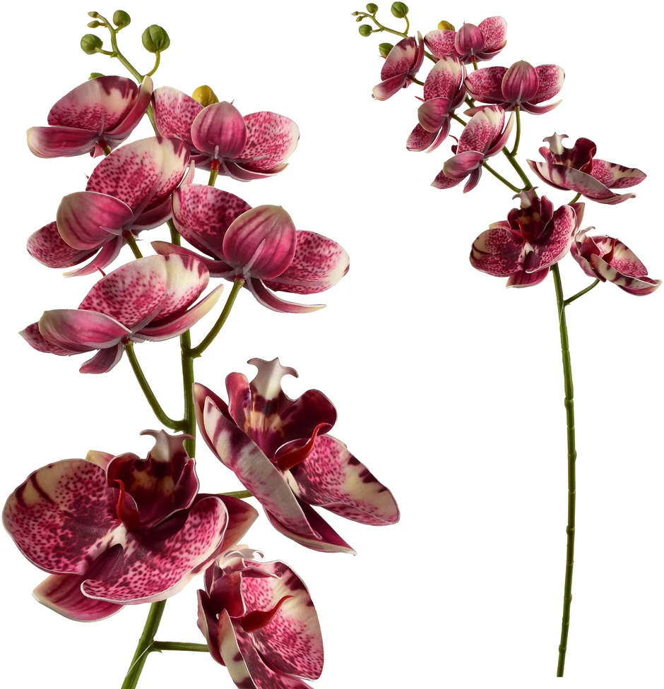 Mondex Since 1986 VIRIDIS dirbtinė gėlė orchidėja 85 cm