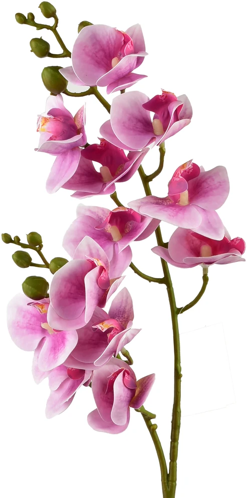 Mondex Since 1986 VIRIDIS dirbtinė gėlė orchidėja 65 cm