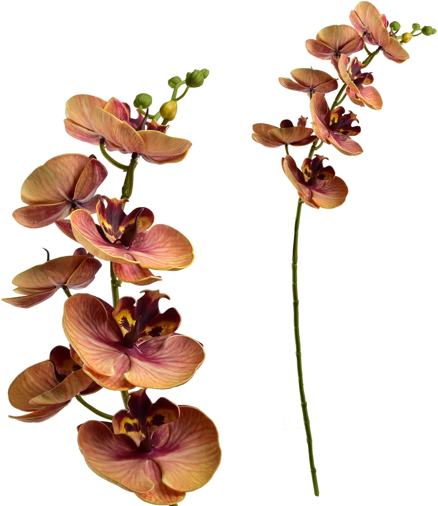 Mondex Since 1986 VIRIDIS dirbtinė gėlė orchidėja 85 cm