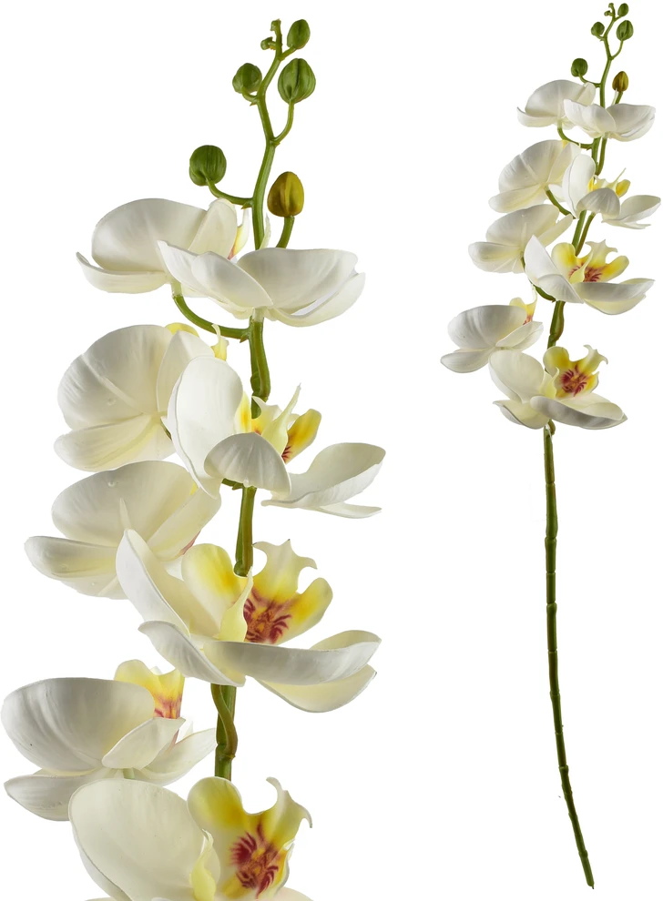 Mondex Since 1986 VIRIDIS dirbtinė gėlė orchidėja 85 cm balta