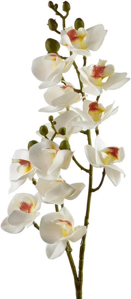 Mondex Since 1986 VIRIDIS dirbtinė gėlė orchidėja 65 cm