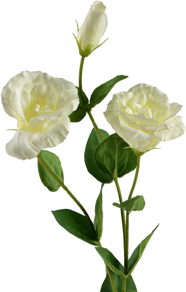 Mondex Since 1986 VIRIDIS Dirbtinė gėlė Eustoma 70cm gumuota
