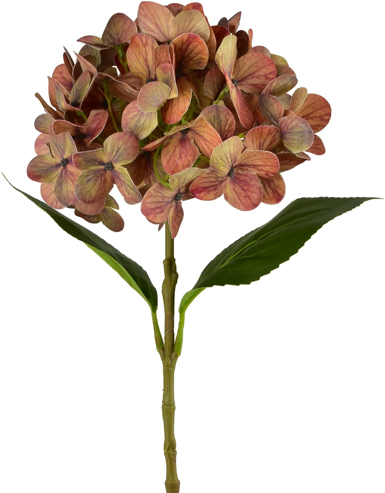 Mondex Since 1986 VIRIDIS dirbtinė gėlė hortenzija 60 cm