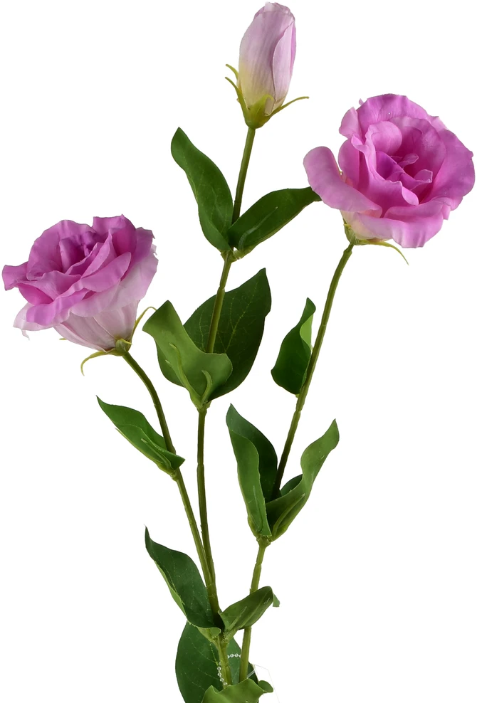 Mondex Since 1986 VIRIDIS Dirbtinė gėlė Eustoma 70cm gumuota