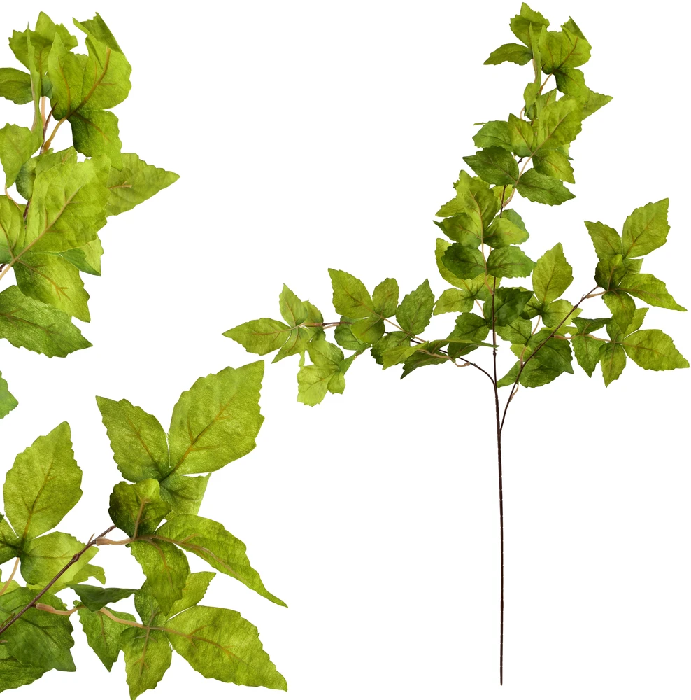 Mondex Since 1986 VIRIDIS lapo šakelė 100 cm