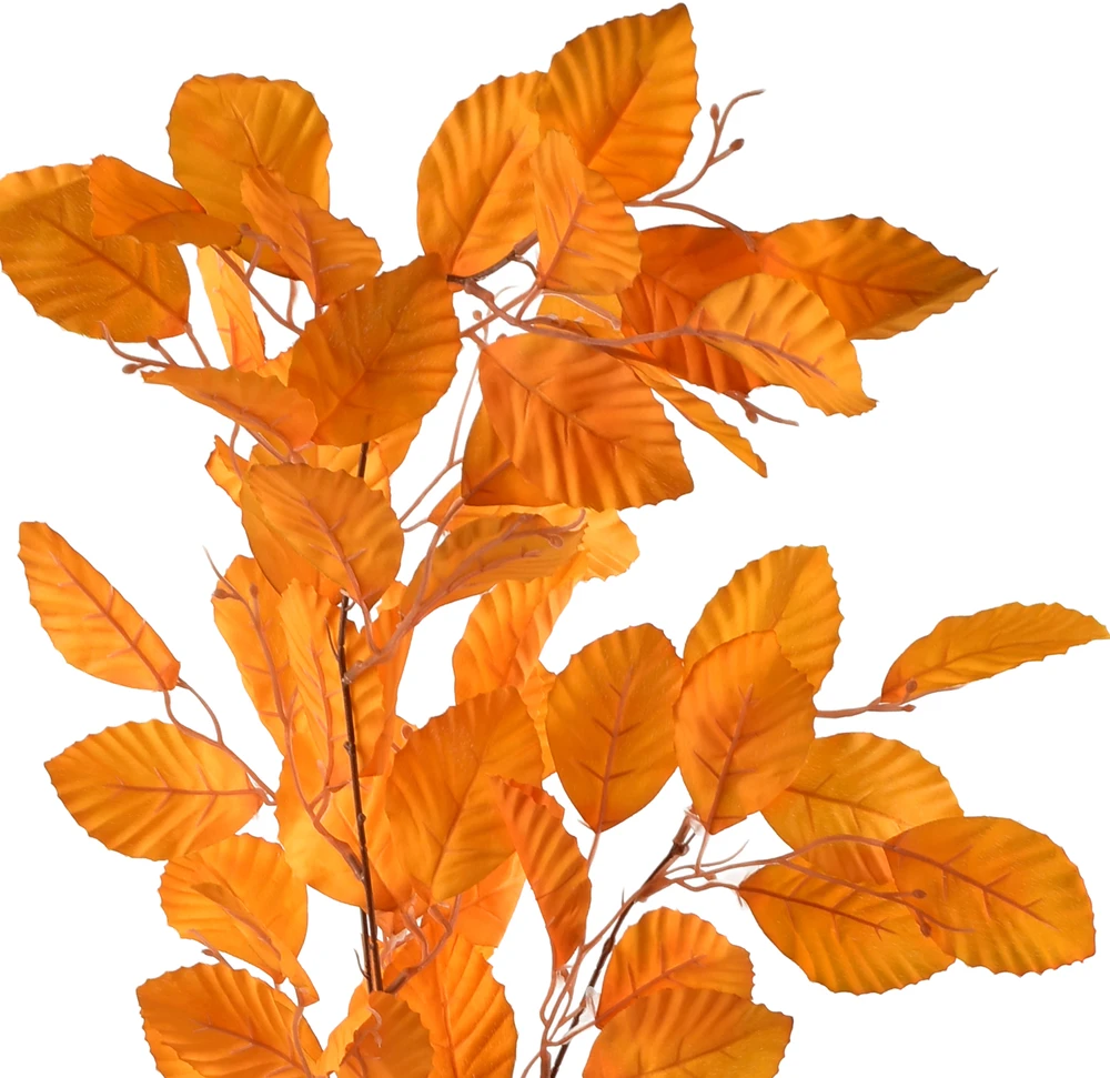 Mondex Since 1986 VIRIDIS lapo šaka 103 cm