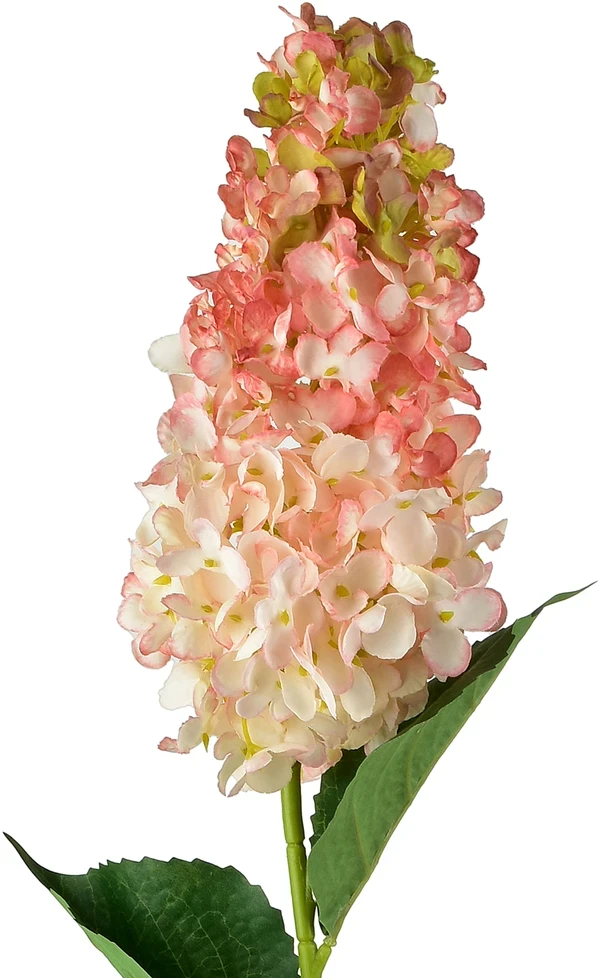 Mondex Since 1986 VIRIDIS gėlė ilga hortenzija 80cm