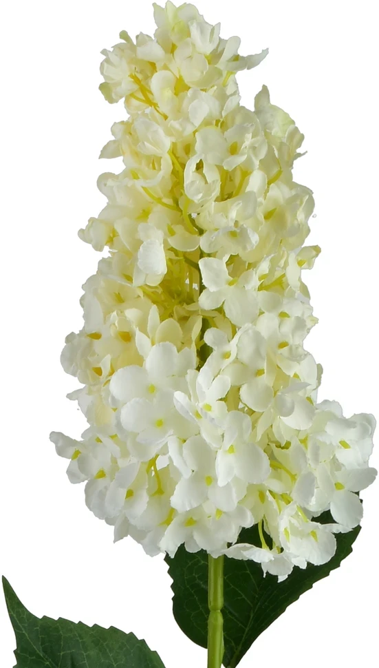 Mondex Since 1986 VIRIDIS gėlė ilga hortenzija 80cm