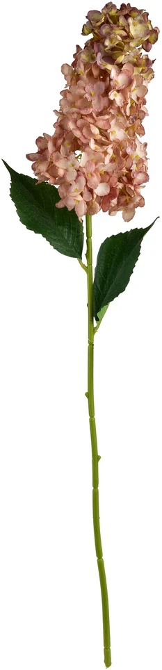 Mondex Since 1986 VIRIDIS gėlė ilga hortenzija 80cm