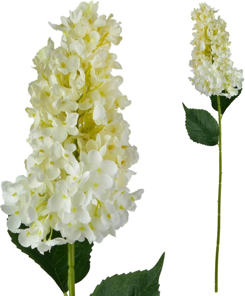 Mondex Since 1986 VIRIDIS gėlė ilga hortenzija 80cm