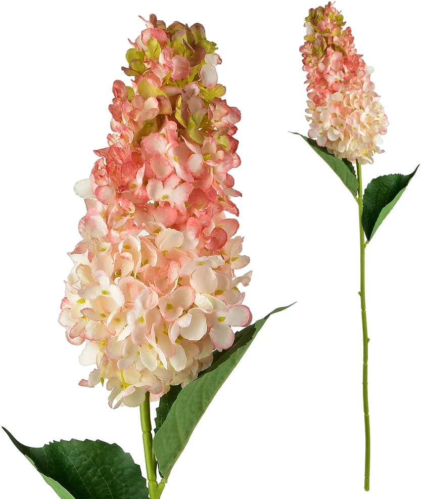 Mondex Since 1986 VIRIDIS gėlė ilga hortenzija 80cm