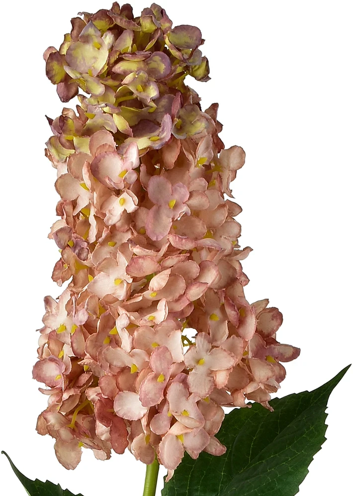 Mondex Since 1986 VIRIDIS gėlė ilga hortenzija 80cm