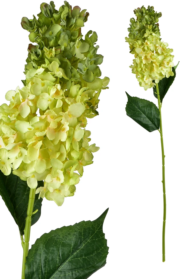 Mondex Since 1986 VIRIDIS gėlė ilga hortenzija 80cm
