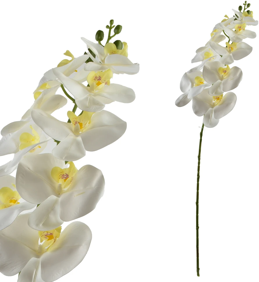 Mondex Since 1986 VIRIDIS Gėlių orchidėjos šakelė 90 cm balta