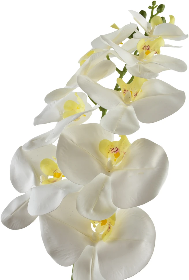 Mondex Since 1986 VIRIDIS Gėlių orchidėjos šakelė 90 cm balta