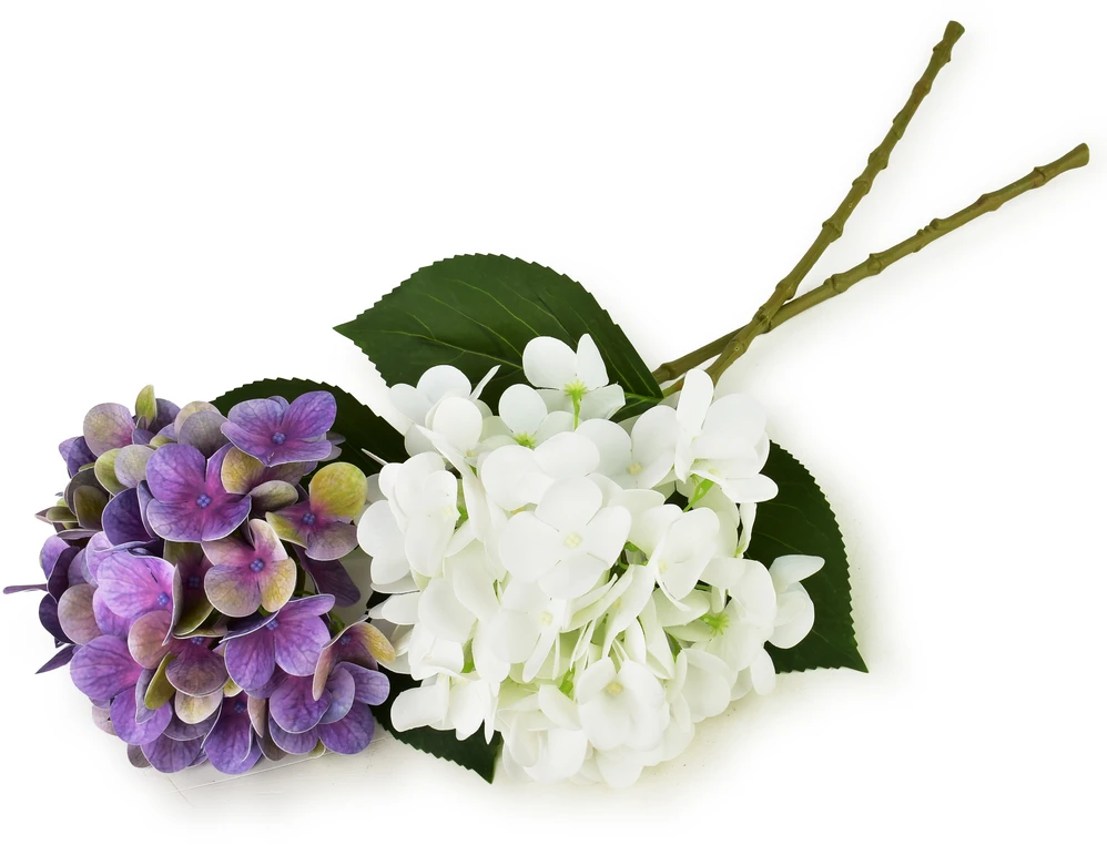 Dirbtinės hortenzijos – violetinė ir balta