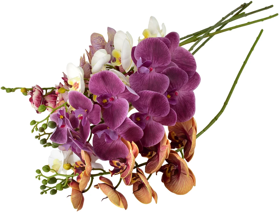 Mondex Since 1986 VIRIDIS žiedinė orchidėjos šakelė 90 cm