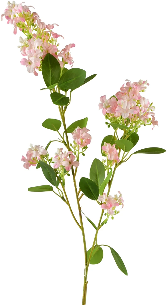 Mondex Since 1986 VIRIDIS Žydinti šakelė 80cm